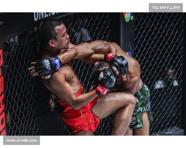 达万猜暴力KO集锦席卷网络 打破泰拳赛事观看纪录